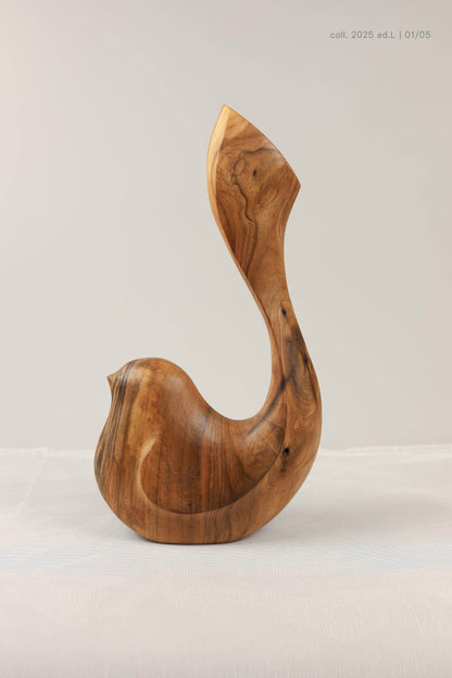 Bird Coll. 2025 (ed.L) 01/05