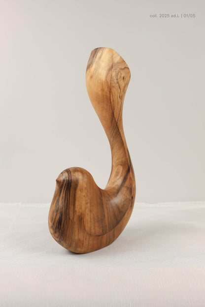Bird Coll. 2025 (ed.L) 01/05