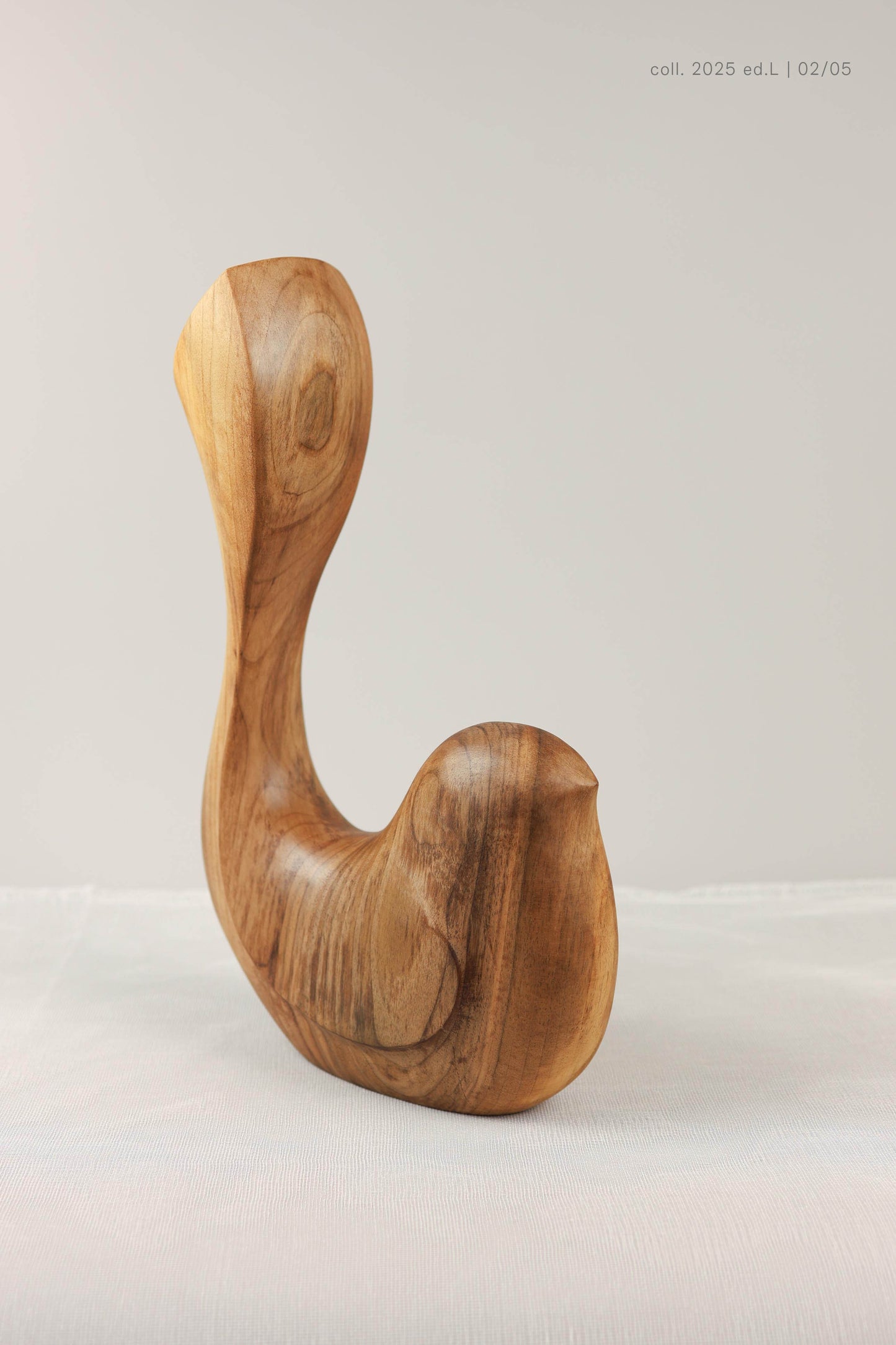 Bird Coll. 2025 (ed.L) 02/05