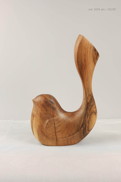 Bird Coll. 2025 (ed.L) 02/05