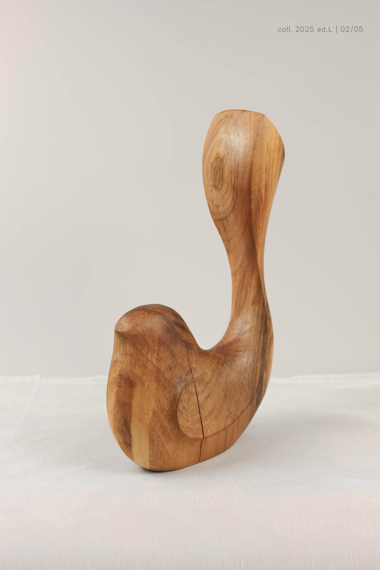 Bird Coll. 2025 (ed.L) 02/05