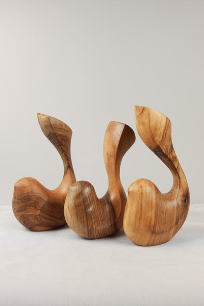 Bird Coll. ed. 2025 (S) 04/05