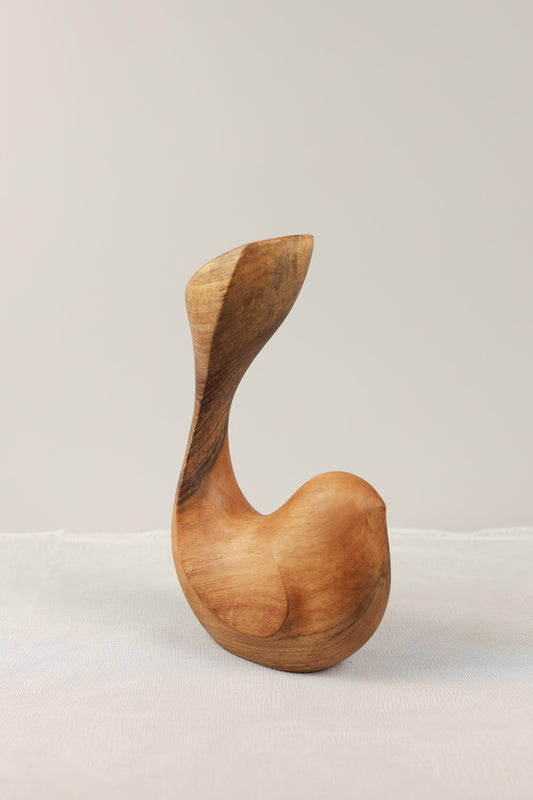 Bird Coll. ed. 2025 (S) 04/05