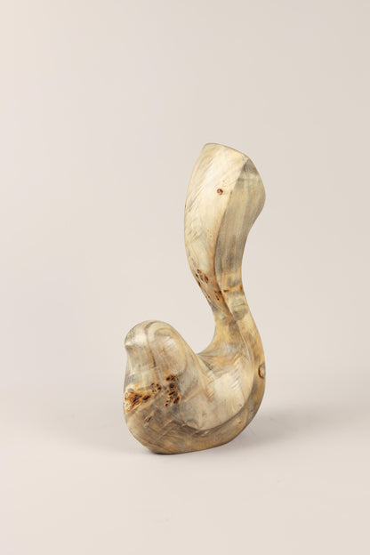 Bird Coll. 2025 (ed.M) 02/03 - Poplar Burl