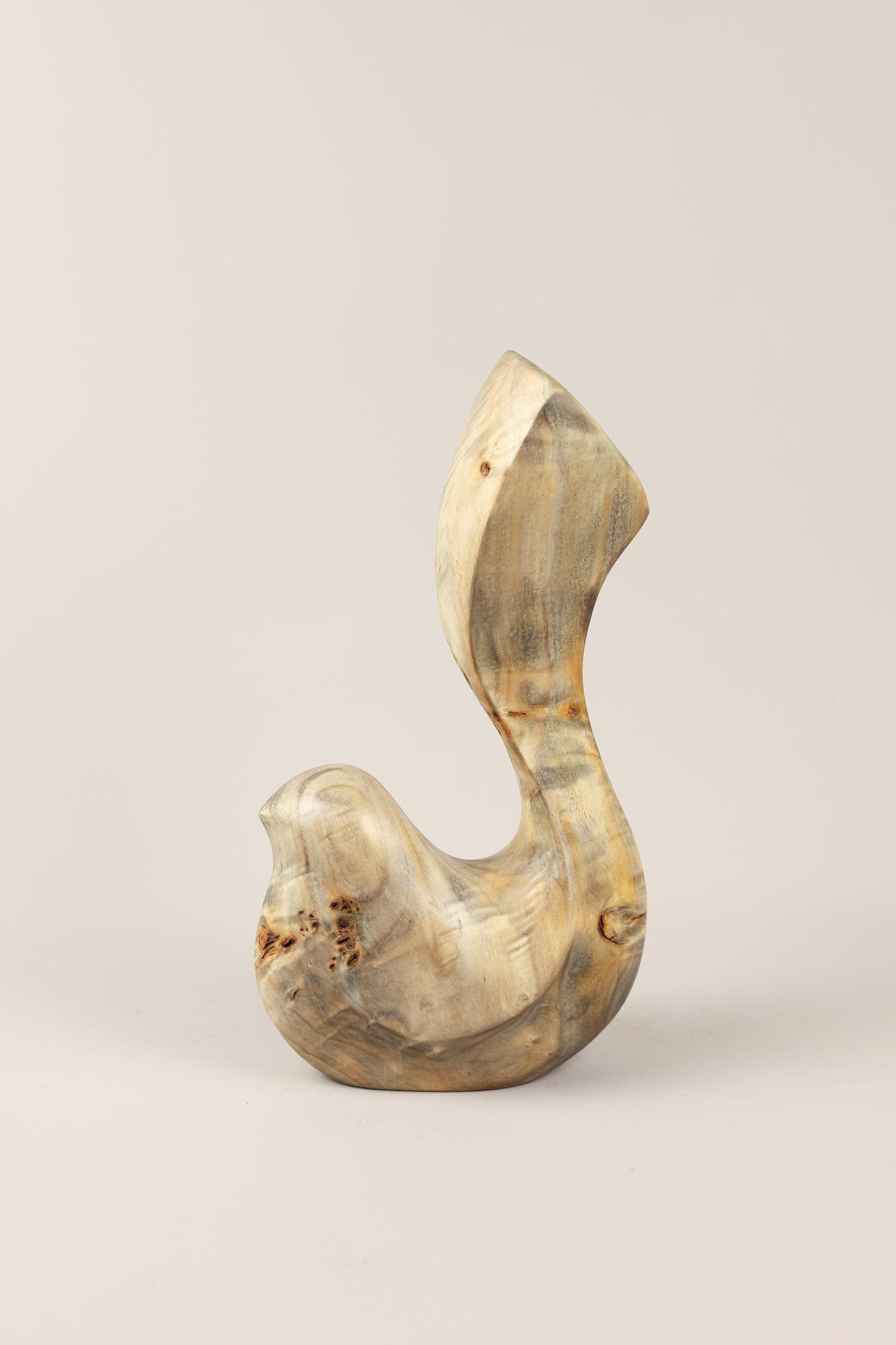 Bird Coll. 2025 (ed.M) 02/03 - Poplar Burl