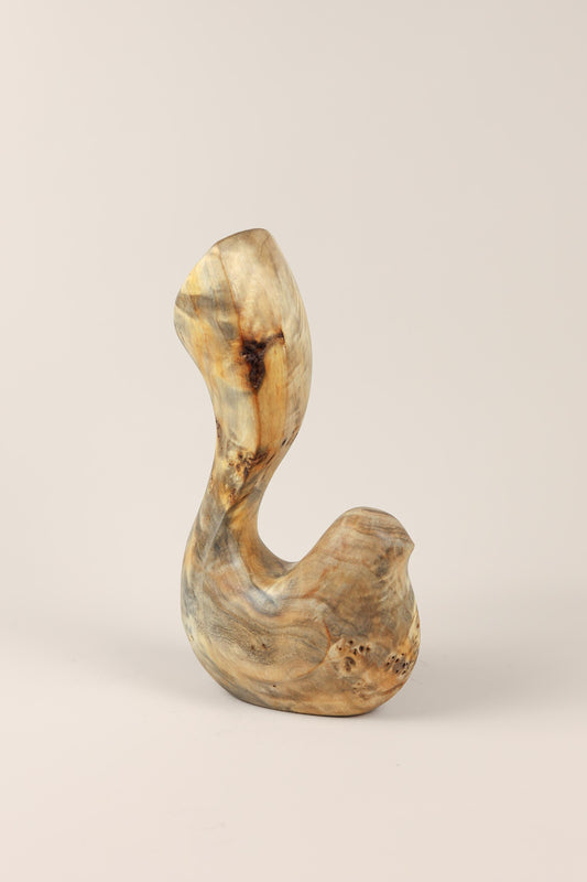 Bird Coll. 2025 (ed.M) 02/03 - Poplar Burl