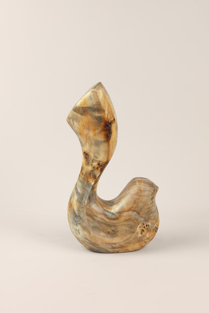 Bird Coll. 2025 (ed.M) 02/03 - Poplar Burl