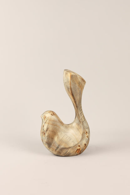 Bird Coll. 2025 (ed.S) 03/03 - Poplar Burl