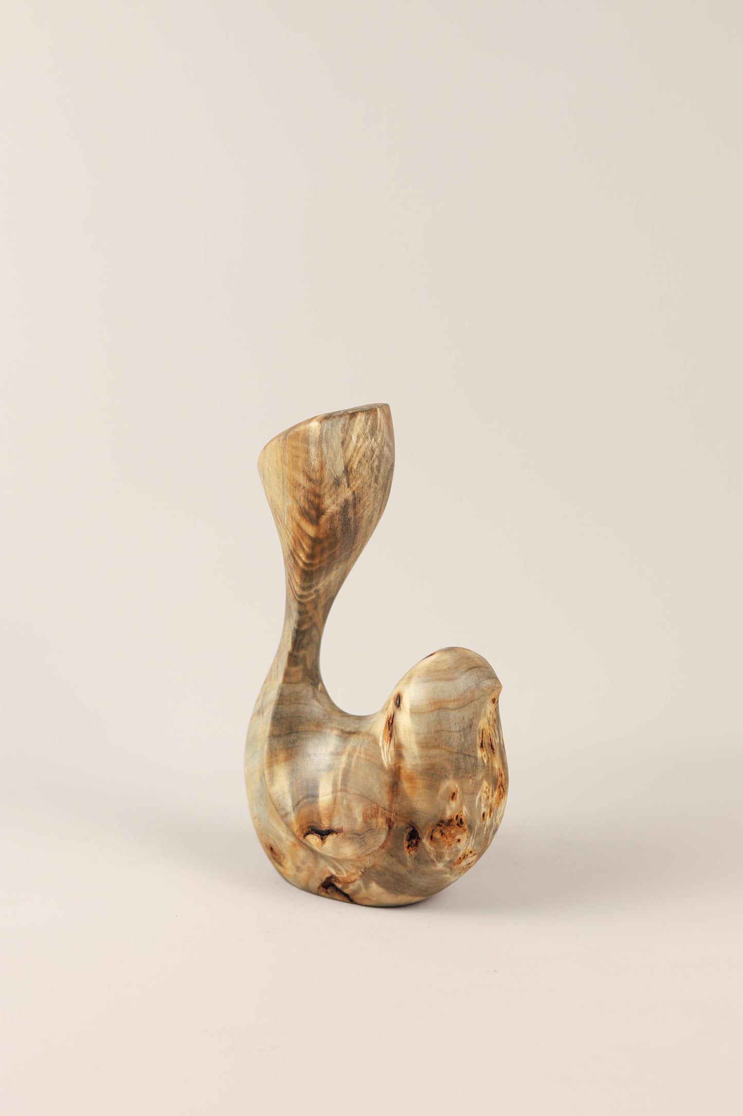 Bird Coll. 2025 (ed.S) 03/03 - Poplar Burl