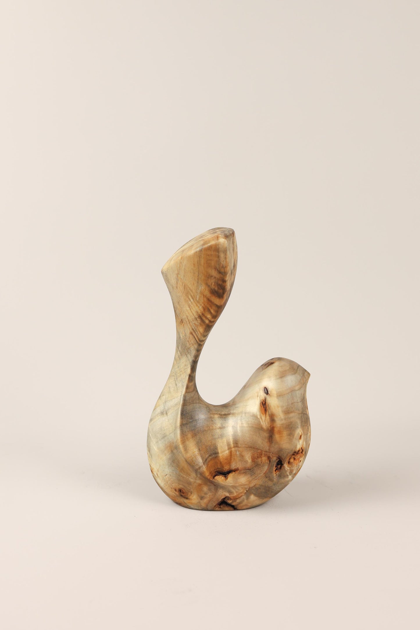 Bird Coll. 2025 (ed.S) 03/03 - Poplar Burl