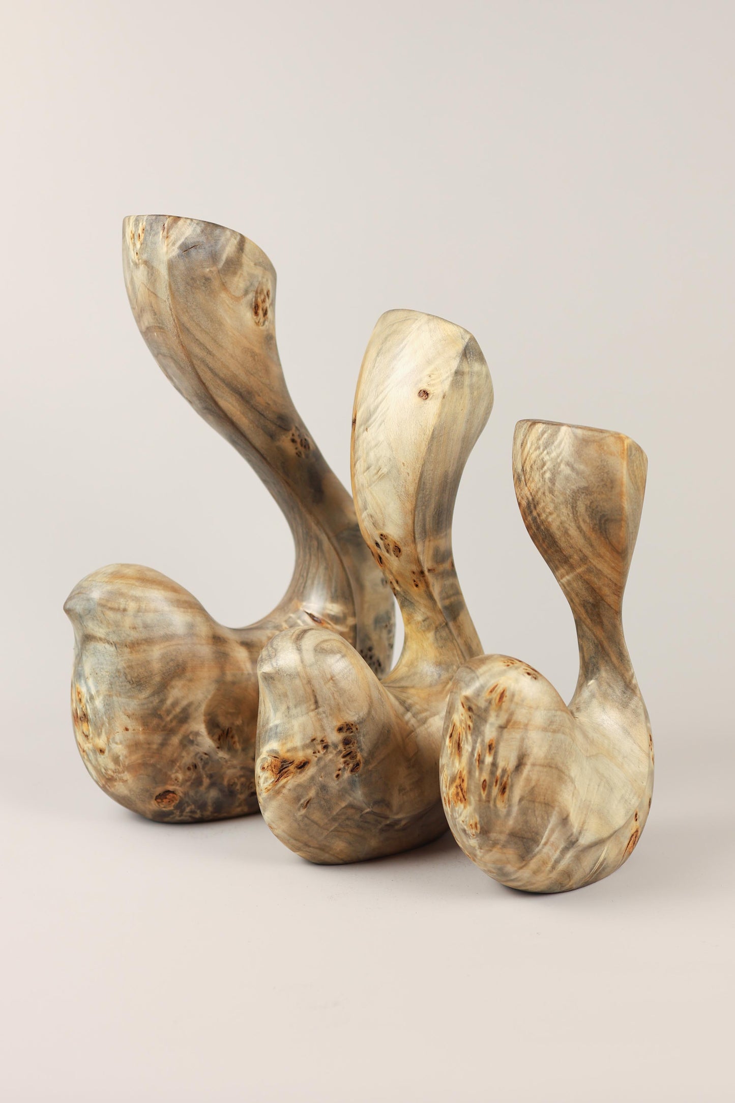 Bird Coll. 2025 (ed.L) 01/03 - Poplar Burl