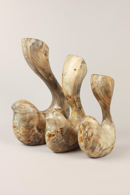 Bird Coll. 2025 (ed.L) 01/03 - Poplar Burl