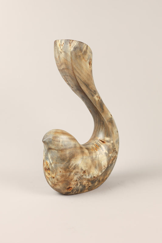 Bird Coll. 2025 (ed.L) 01/03 - Poplar Burl