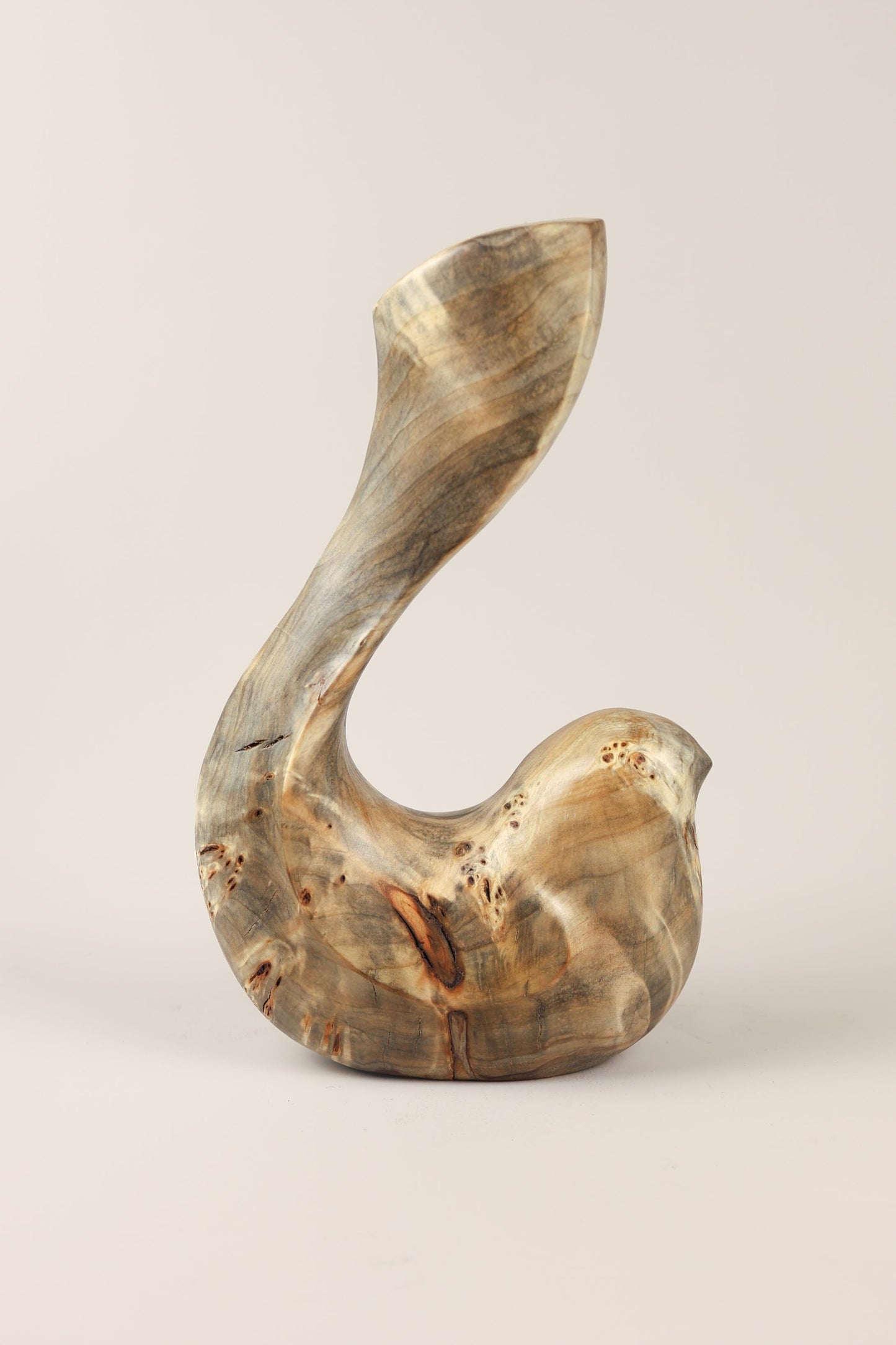 Bird Coll. 2025 (ed.L) 01/03 - Poplar Burl