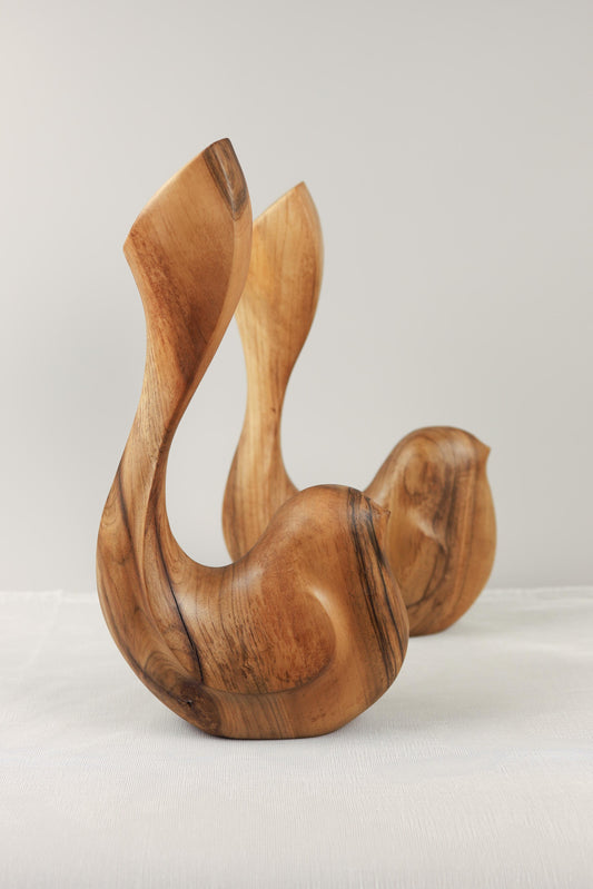 Bird Coll. 2025 (ed.L) n° 01/05 & n°02/05