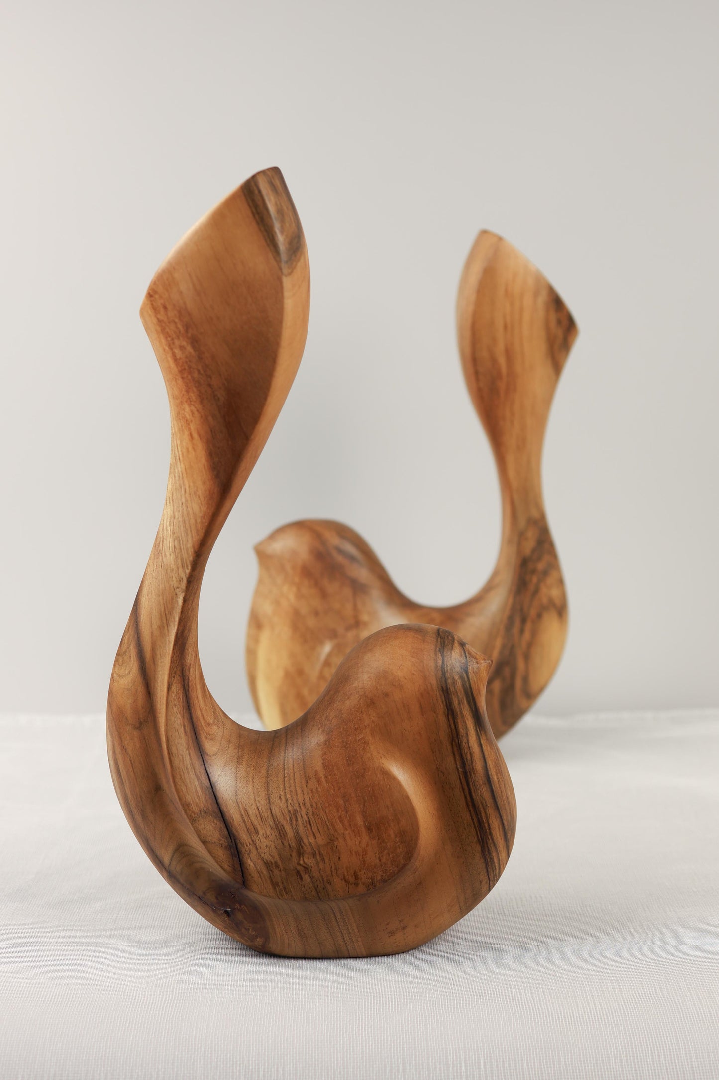 Bird Coll. 2025 (ed.L) n° 01/05 & n°02/05